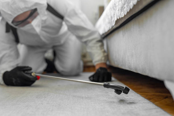 Professional Rodent Control technician working in Zuni Pueblo, NM