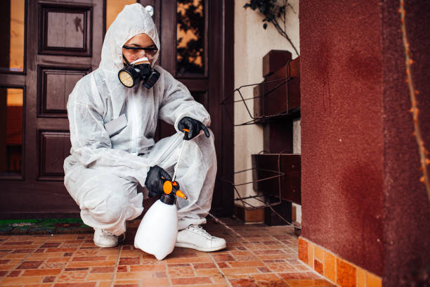Reliable Rodent Control contractor in Zuni Pueblo, NM by Nex Pest Control