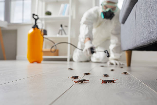 Trusted Fumigation Services service in Zuni Pueblo, NM - Nex Pest Control