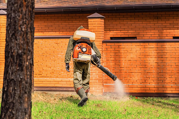 Trusted Emergency Pest Control service in Zuni Pueblo, NM - Nex Pest Control